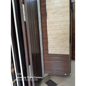 PVC Design Door